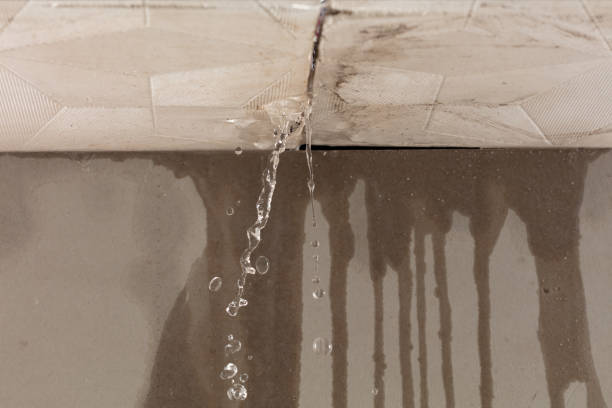 Professional Structural Drying technician working in Woodward, OK